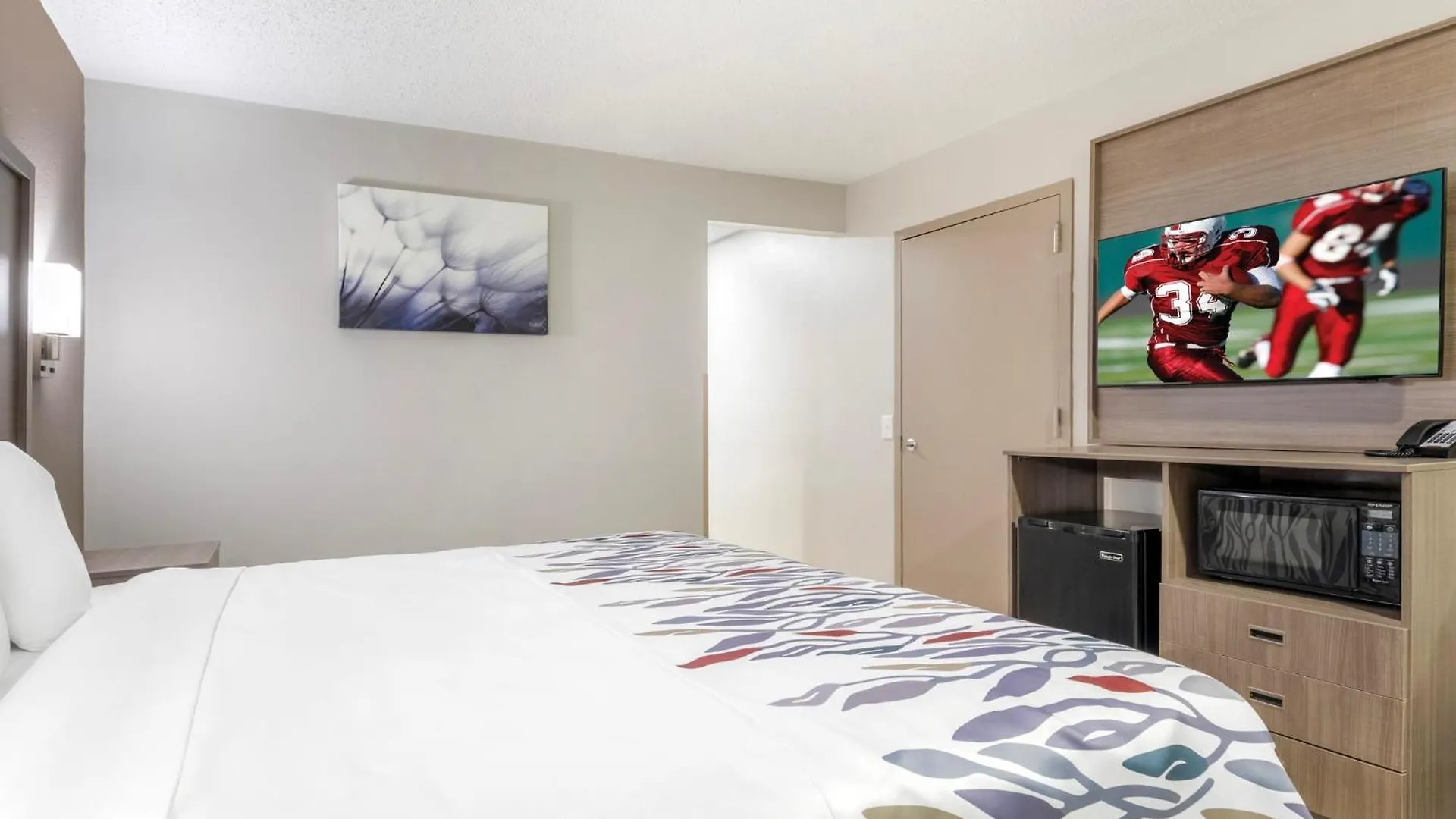 Red Roof Inn & Suites Newport News Motel